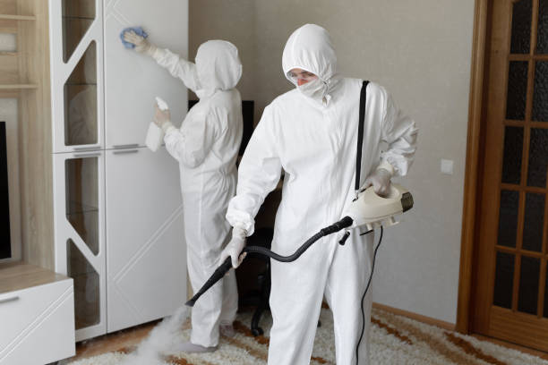Best Toxic Mold Removal  in Auburn, KY