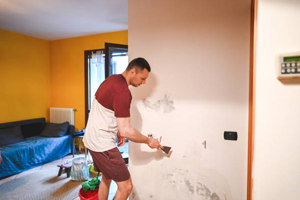 Best Residential Mold Removal  in Auburn, KY